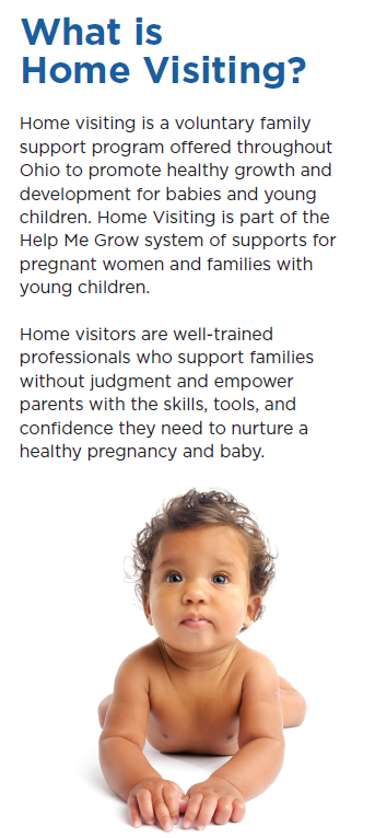 what is home visiting